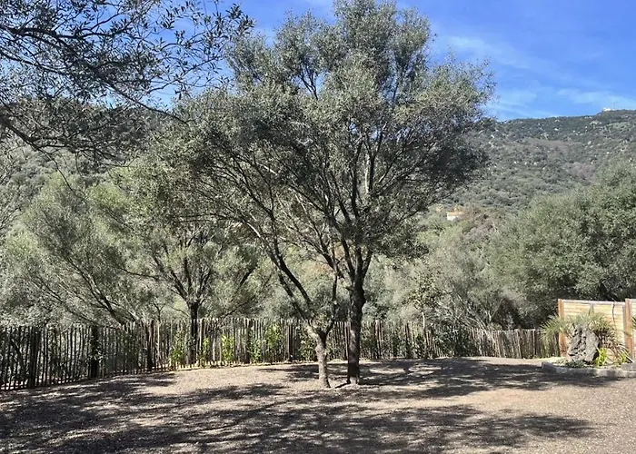 N8 Maison T2 Climatise